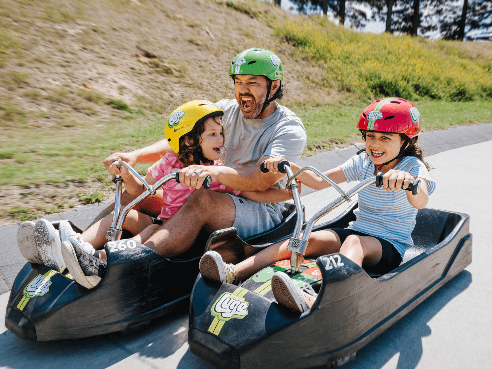 Father and children laughing while riding tandem Luge carts at Skyline Rotorua on a sunny day.
