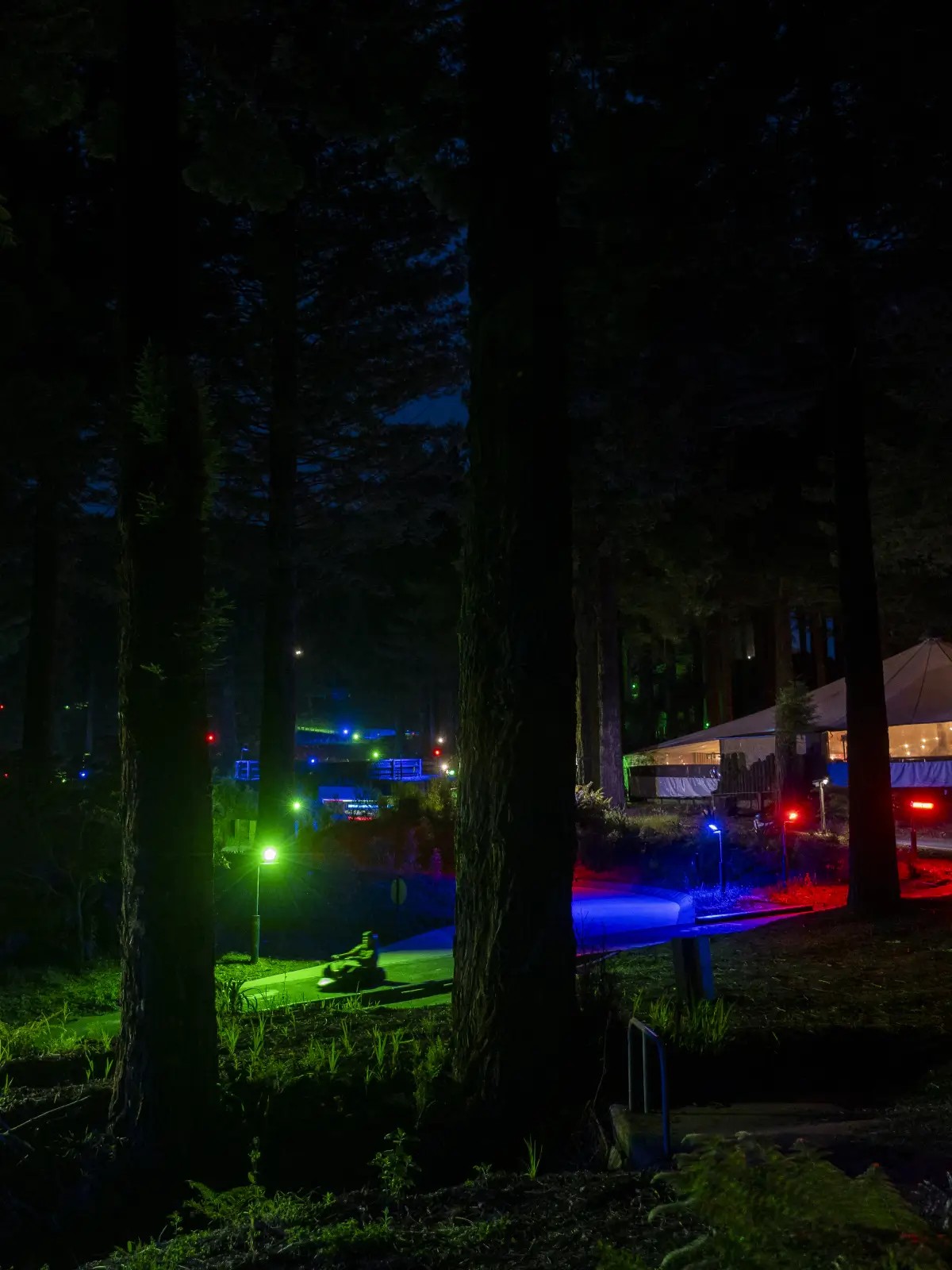 Night luge ride through Skyline Rotorua Hidden Forest venue during a Christmas function